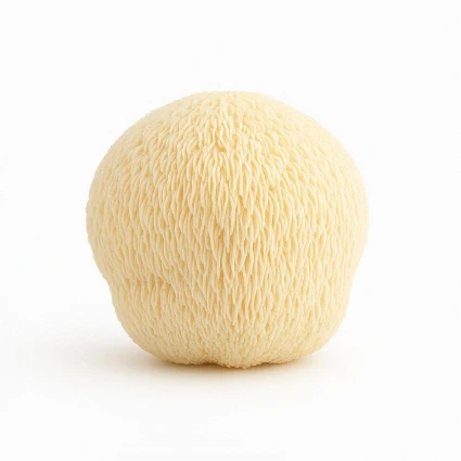 Lion’s Mane Mushroom